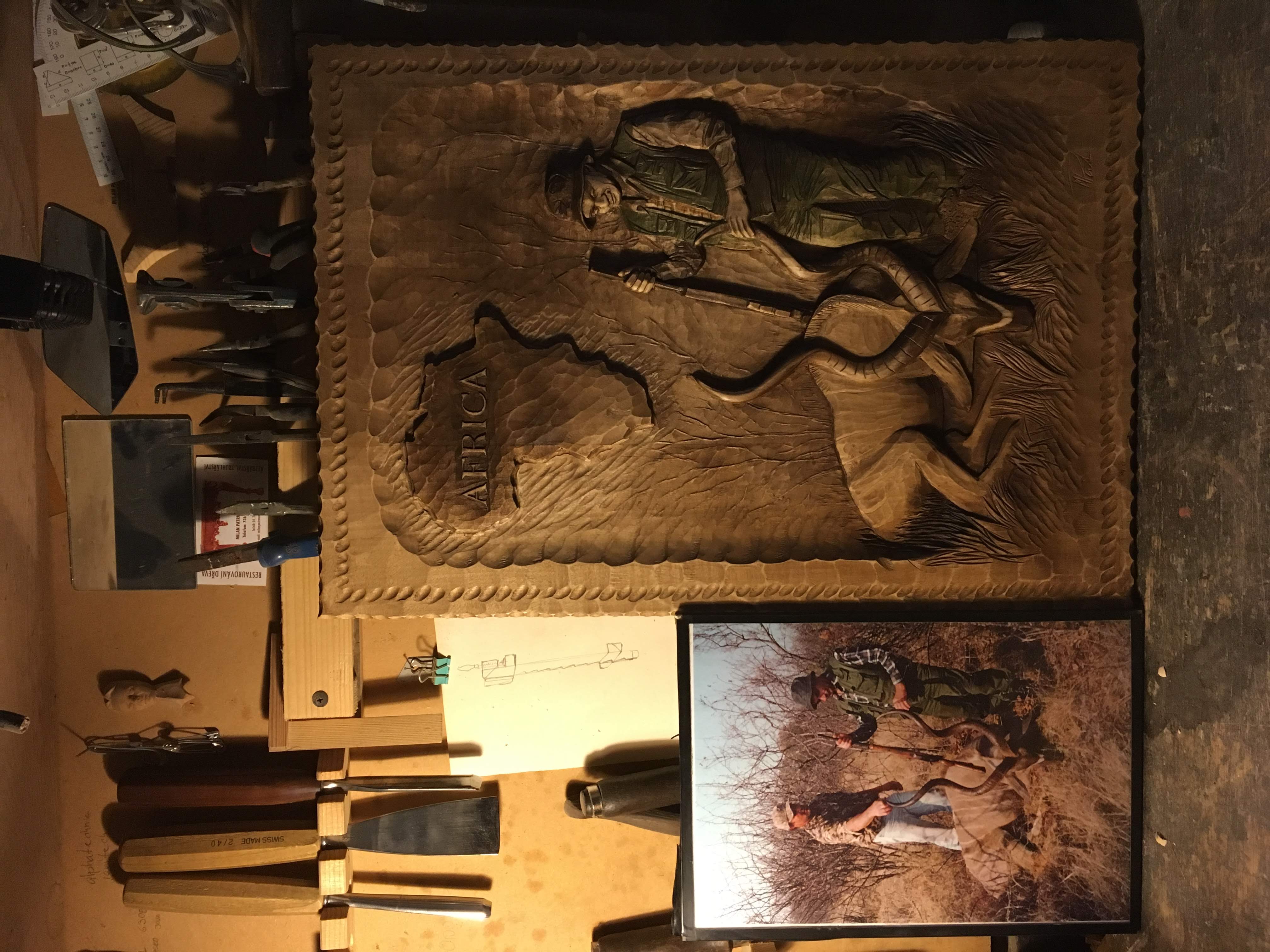 Safari — foto 13