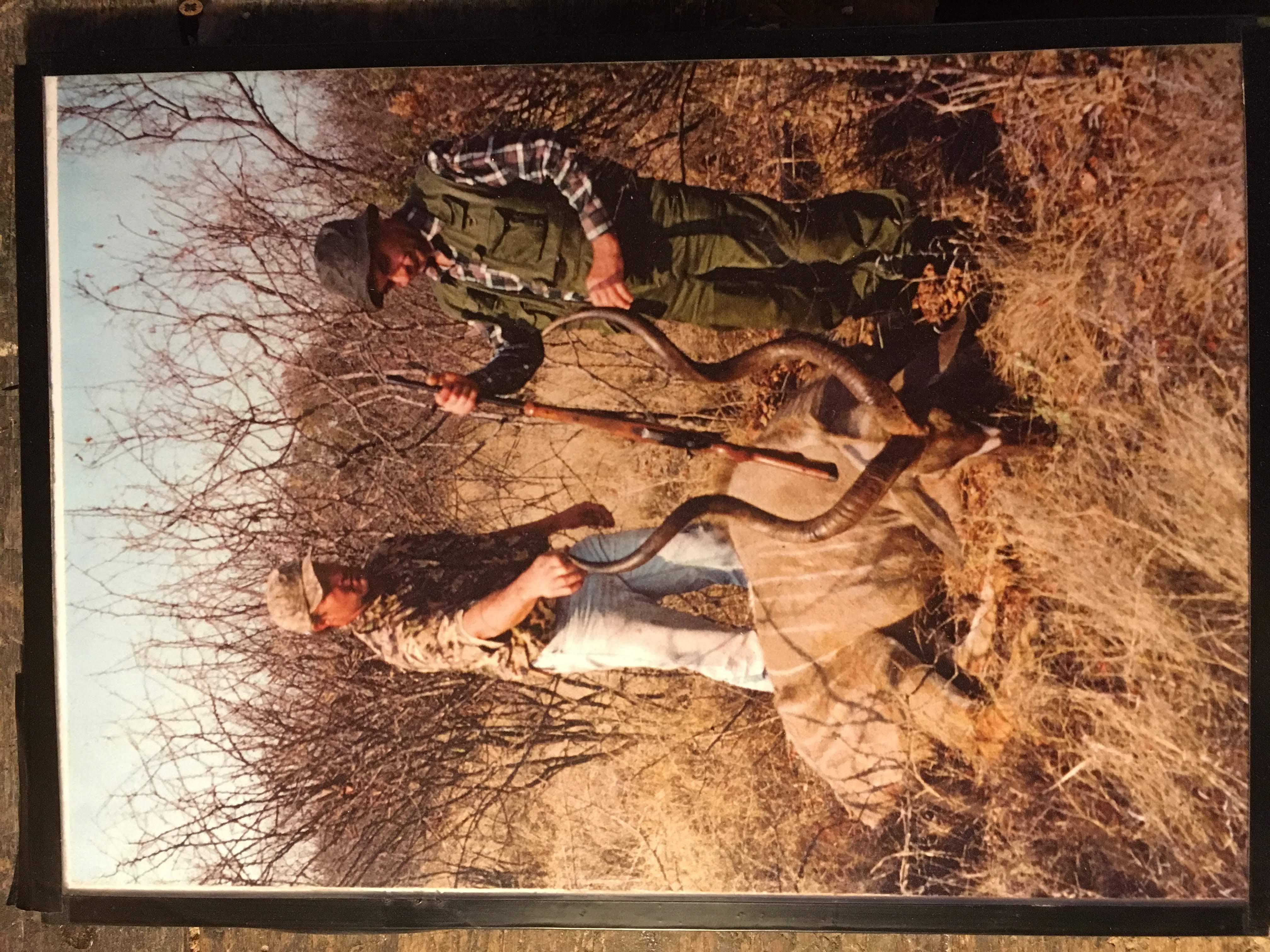 Safari — foto 12
